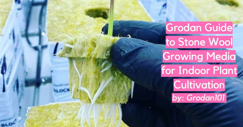 Grodan Guide to Stone Wool Growing Media for Indoor Plant Cultivation - Indoor Farmer