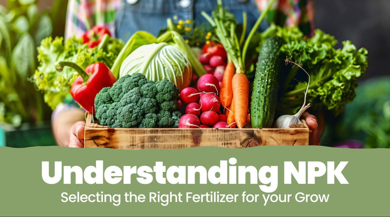 Understanding NPK: Selecting the Right Fertilizer for Your Grow - Indoor Farmer