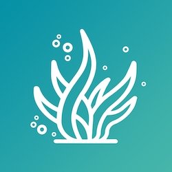 Seaweed & Kelp | Indoor Farmer