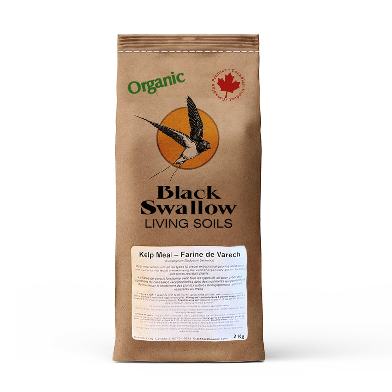 Black Swallow Kelp Meal Organic
