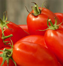 Amish Paste Organic 45 seeds - Indoor Farmer