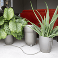 Autopot Khloris Watering System Metallic Sage - Indoor Farmer