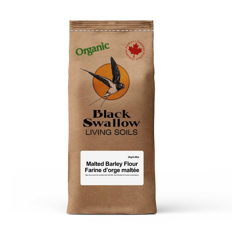 Black Swallow 2 Row Malted Barley Flour (Non - Organic) 5LB - Indoor Farmer