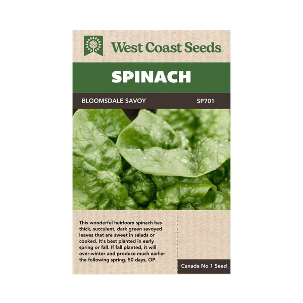 Bloomsdale Savoy Spinach Seeds 5g (Approx. 360 Seeds) - Indoor Farmer