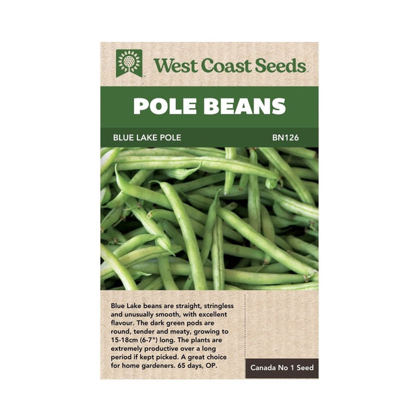 Blue Lake Pole Bean Seeds 50g (Approx. 175 seeds) - Indoor Farmer