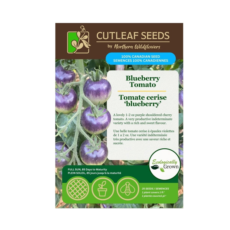 Blueberry Tomato Seeds Approx. 25 seeds - Indoor Farmer