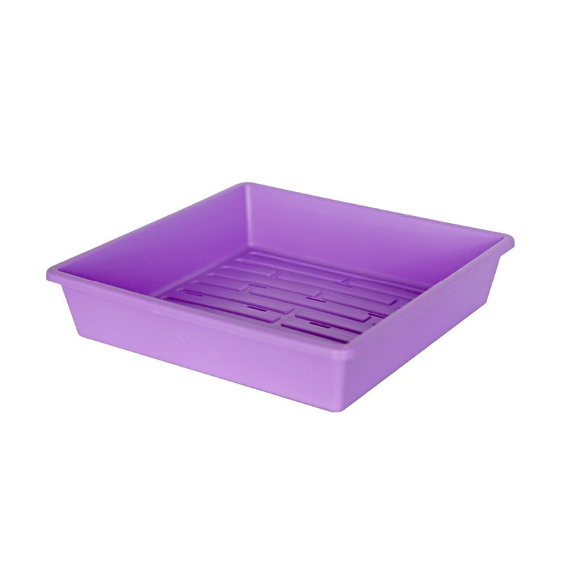 Bootstrap Farmer 1010 Extra Strength Seed Starting Trays Purple - Indoor Farmer