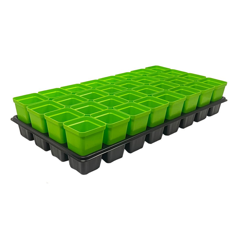 Bootstrap Farmer 32 Cell Reusable Plant Starter Trays with 2.5" Pots Green - Indoor Farmer