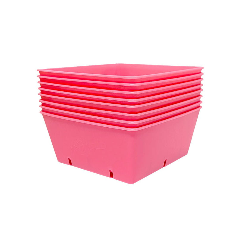 Bootstrap Farmer 5X5 Extra Strength Grow Trays Pink - Indoor Farmer