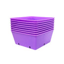 Bootstrap Farmer 5X5 Extra Strength Grow Trays Purple - Indoor Farmer