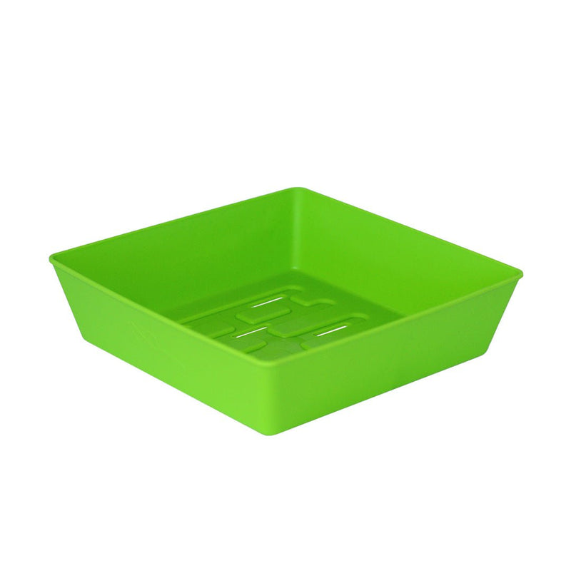 Bootstrap Farmer 5X5 Shallow Microgreen Trays Green - Indoor Farmer