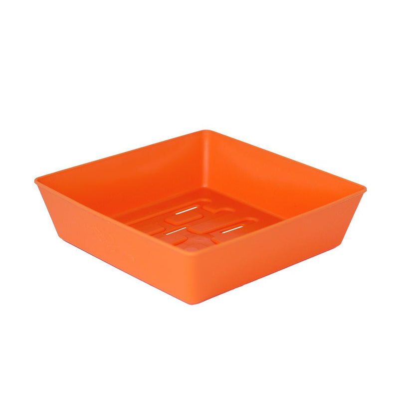 Bootstrap Farmer 5X5 Shallow Microgreen Trays Orange - Indoor Farmer