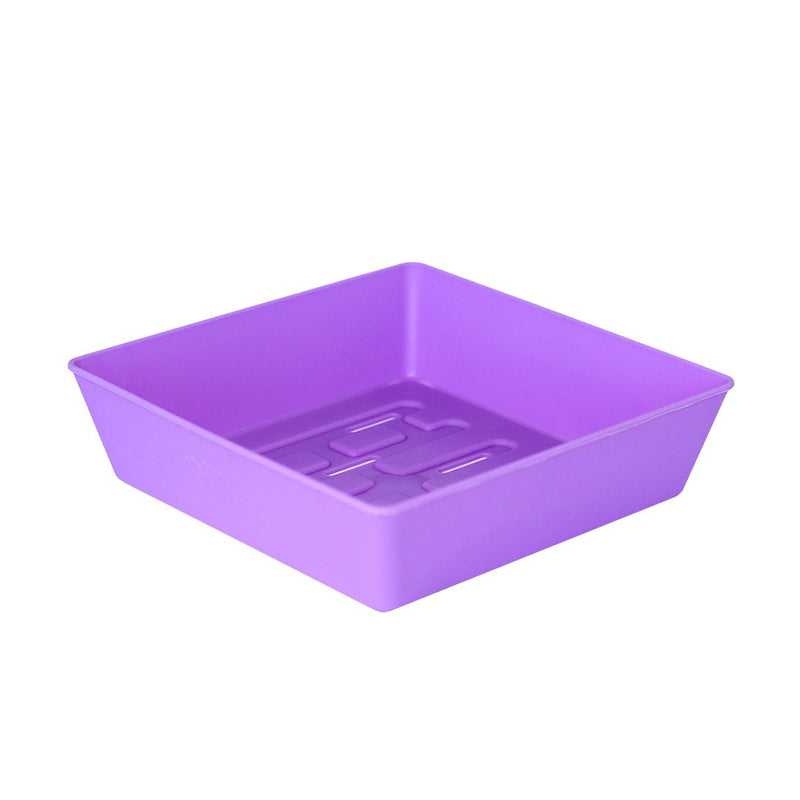 Bootstrap Farmer 5X5 Shallow Microgreen Trays Purple - Indoor Farmer