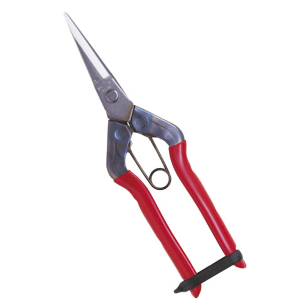 Chikamasa T - 550S Stainless Steel (Straight Blade) Pruners - Indoor Farmer