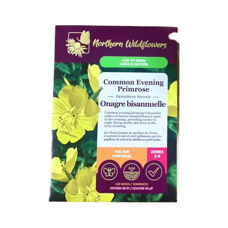 Common Evening Primrose Seeds Approx. 120 seeds - Indoor Farmer