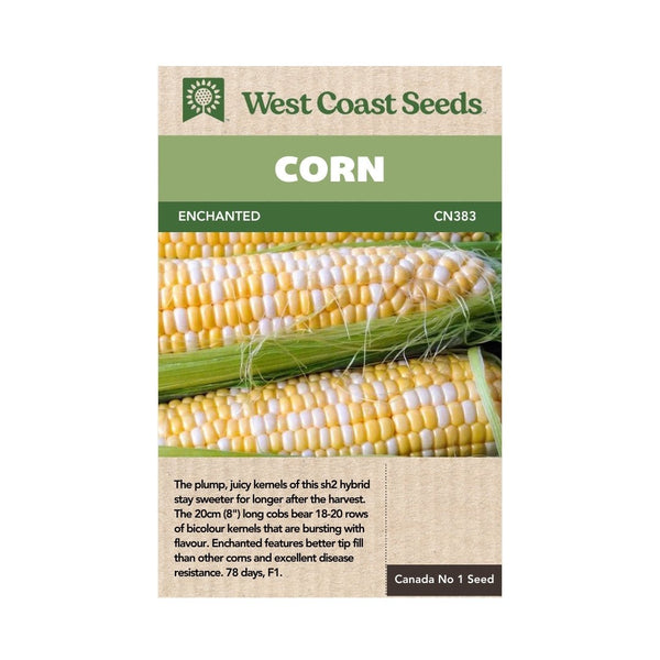 Corn - Enchanted Corn Seeds 10g (Approx. 40 seeds) - Indoor Farmer