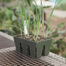 Epic Gardening Potting Up Seed Starting Bundle - Indoor Farmer