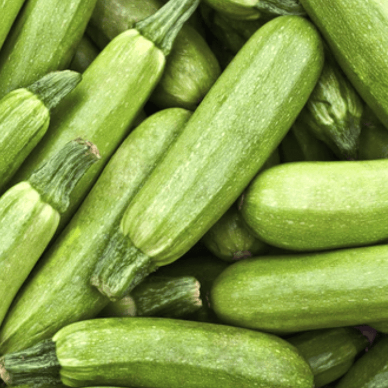 Genovese Zucchini Seeds Approx. 15 seeds - Indoor Farmer