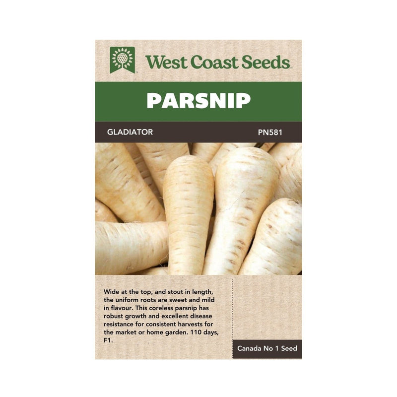 Gladiator Parsnip Seeds 1g (Approx 298 seeds) - Indoor Farmer