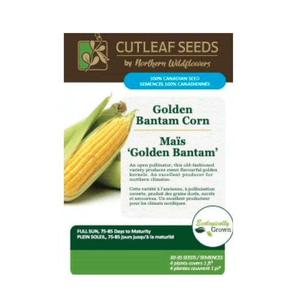 Golden Bantam Corn Seeds Approx. 30 - 35 seeds - Indoor Farmer