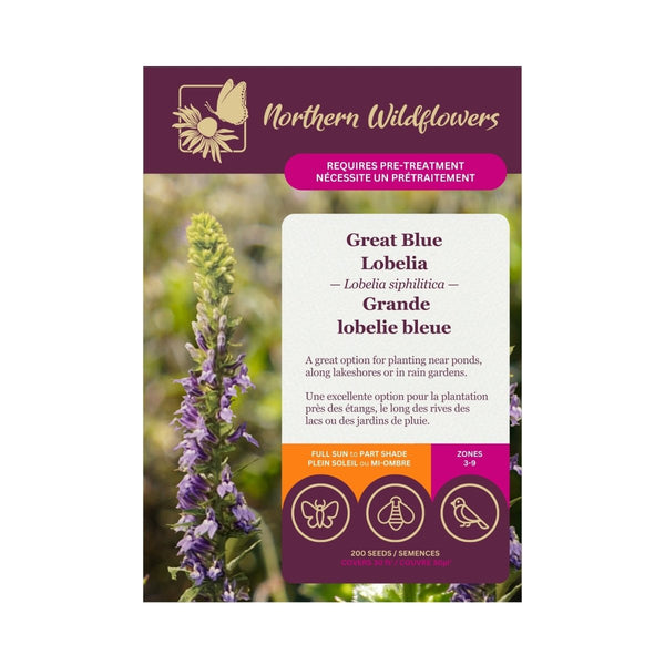 Great Blue Lobelia Seeds Approx. 200 seeds - Indoor Farmer