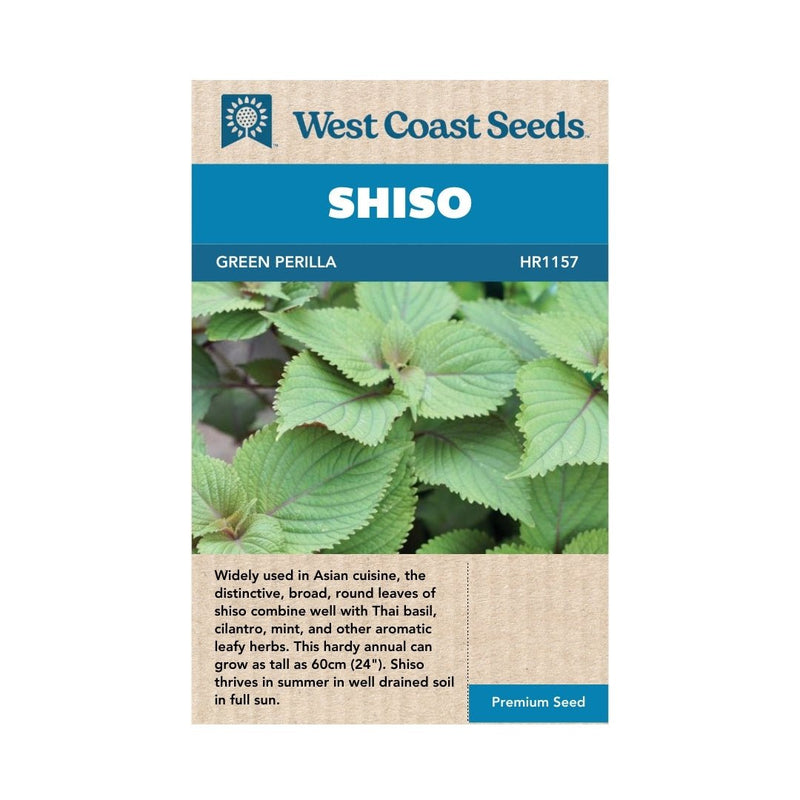 Green Perilla Shiso Seeds 0.5g (Approx 343 Seeds) - Indoor Farmer