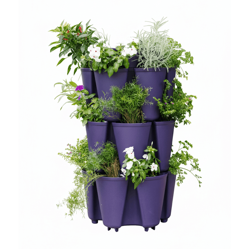 GreenStalk 3 Tier Original Vertical Planter Blackberry - Indoor Farmer
