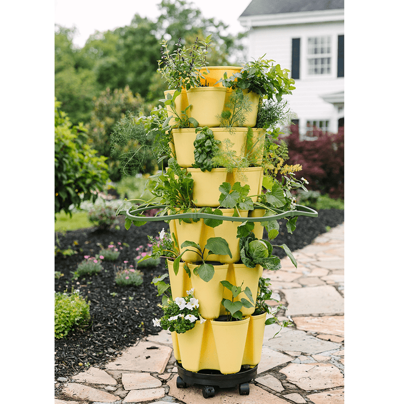 GreenStalk Original & Leaf Inventor's Bundle Lemon - Indoor Farmer