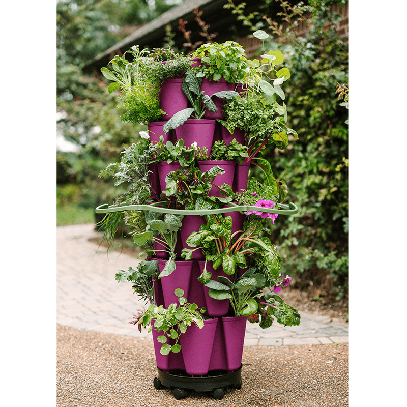 GreenStalk Original & Leaf Inventor's Bundle Razzleberry - Indoor Farmer