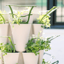 GreenStalk Trellis - Set of 3 - Indoor Farmer