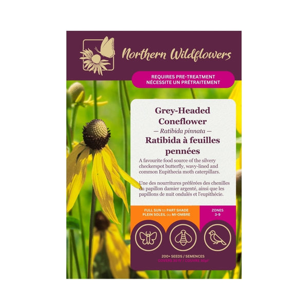 Grey - Headed Coneflower Seeds Approx. 200+ seeds - Indoor Farmer