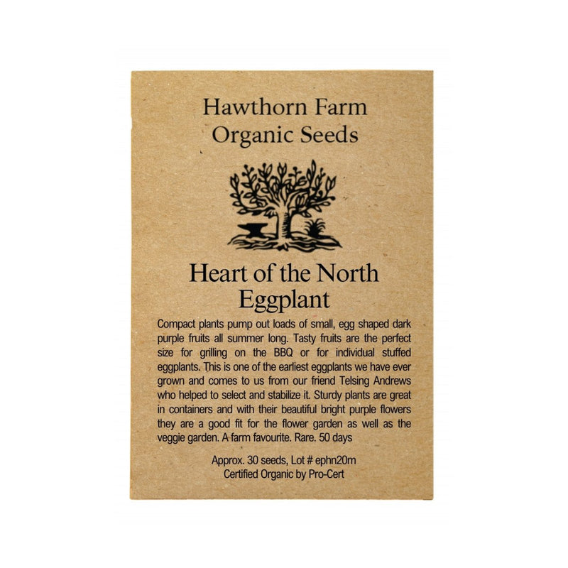 Heart of the North Eggplant Seeds 50 Seed Packet - Indoor Farmer