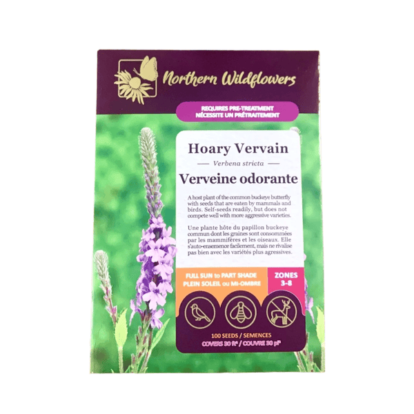 Hoary Vervain Seeds Approx. 100 seeds - Indoor Farmer