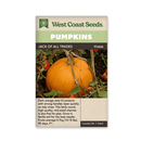 Jack of All Trades F1 Pumpkin Seeds 21 seeds - Indoor Farmer
