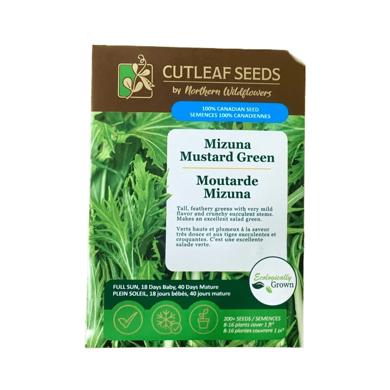 Mizuna Mustard Green Seeds Approx. 200 seeds - Indoor Farmer