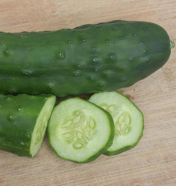 Olympian Cucumber Seeds 1g (Approx. 40 seeds) - Indoor Farmer