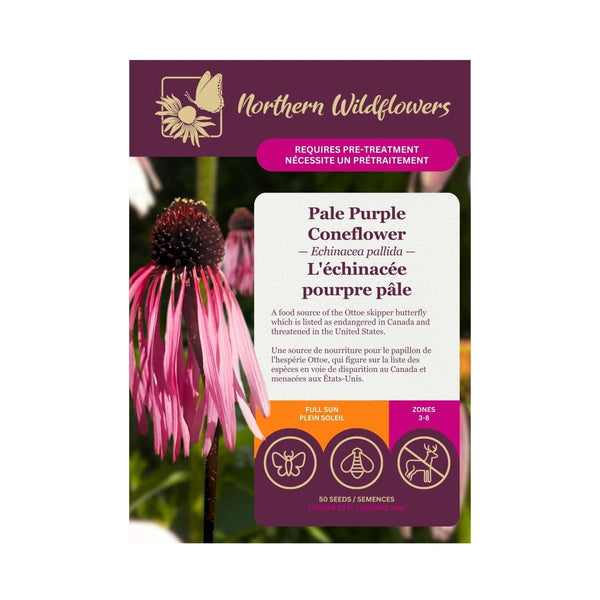 Pale Purple Coneflower Seeds Approx. 50 seeds - Indoor Farmer