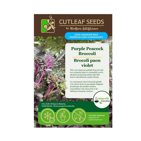 Purple Peacock Broccoli Seeds Approx. 100 seeds - Indoor Farmer