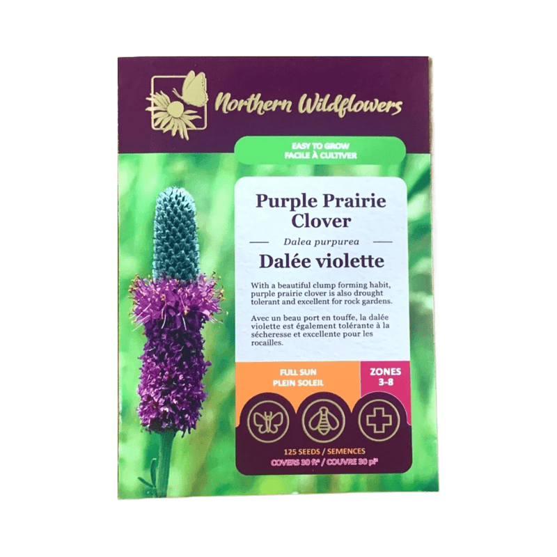 Purple Prairie Clover Seeds Approx. 125 seeds - Indoor Farmer