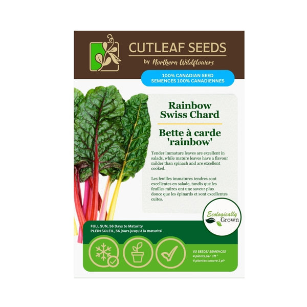 Rainbow Swiss Chard Seeds Approx. 60 seeds - Indoor Farmer