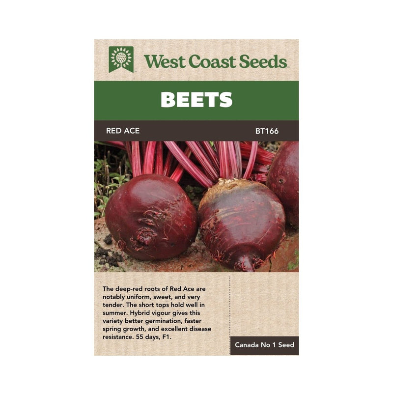 Red Ace Beet Seeds Approx 200 seeds - Indoor Farmer