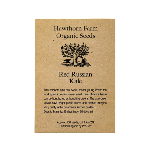 Red Russian Kale Seeds 150 Seed Packet - Indoor Farmer