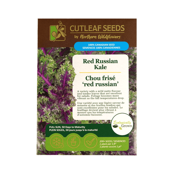 Red Russian Kale Seeds Approx. 200 seeds - Indoor Farmer