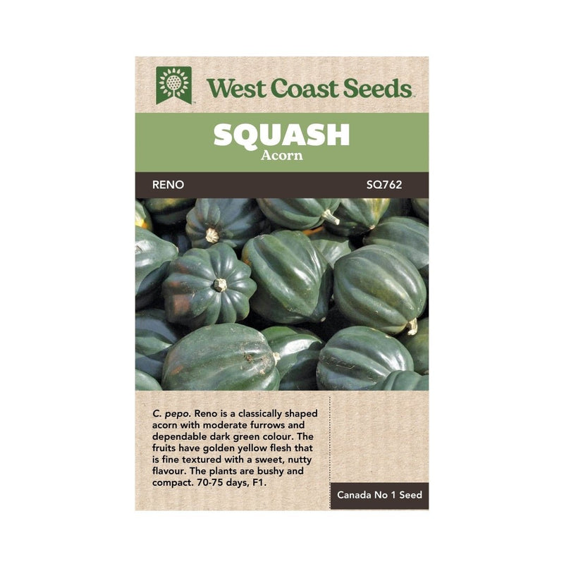 Reno Acorn Squash Seeds 9 seeds - Indoor Farmer