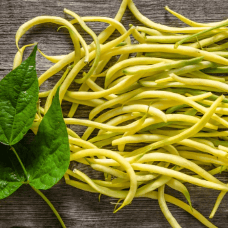 Rocdor Yellow Wax Bush Bean Seeds Approx. 50 seeds - Indoor Farmer