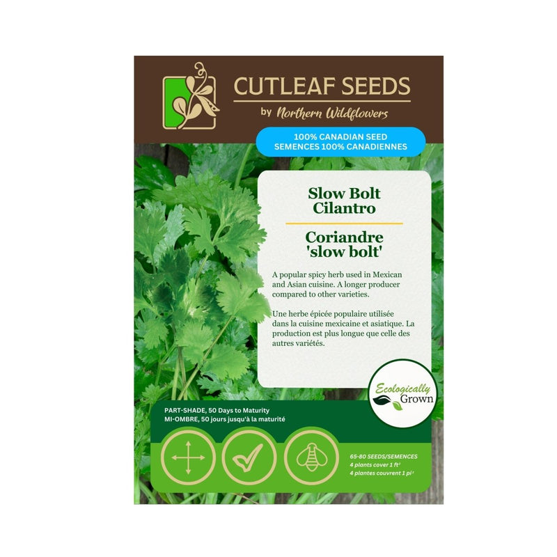 Slow Bolt Cilantro Seeds Approx. 65 - 80 seeds - Indoor Farmer