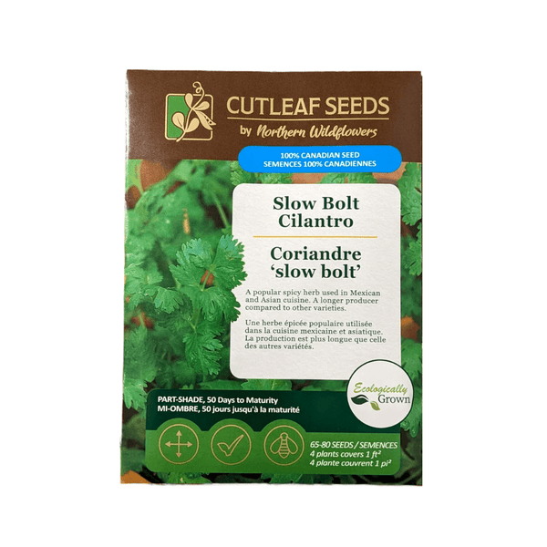 Slow Bolt Cilantro Seeds Approx. 65 - 80 seeds - Indoor Farmer