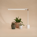 Soltech Versa Tabletop Grow Light White - Indoor Farmer