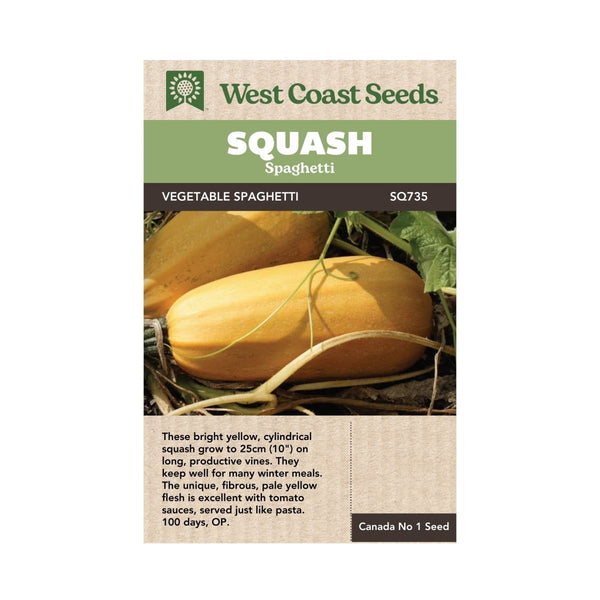 Spaghetti Squash Seeds 3g (Approx 18 seeds) - Indoor Farmer