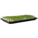 Sunblaster 1020 Double Thick 1.25" Deep Microgreen Trays No Holes - Indoor Farmer